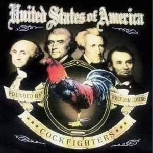 Meet your Posher, Benji